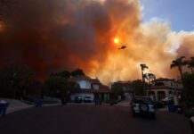 В елітному районі Лос-Анджелеса вирує лісова пожежа: 30 тисяч людей змушені евакуюватися