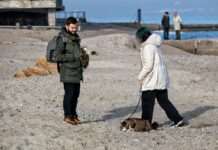 Квітень у січні. Синоптики дали прогноз на останні дні другого місяця зими
