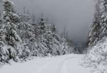 Високогір’я Карпат “накрив” небезпечний морозний шторм (фото)