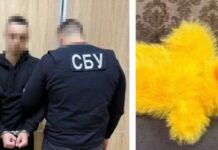 Сховали вибухівку в іграшці: жителі Дніпропетровщини на замовлення РФ планували теракт