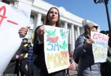 Яку мову українці вважають рідною та якими розмовляють вдома і роботі: дані опитування