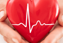 Правда і вигадки про серцево-судинні захворювання: це варто знати кожному