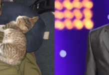 Отримав важке поранення на фронті: у Дніпрі лікують відомого українського шоумена, коміка й телеведучого