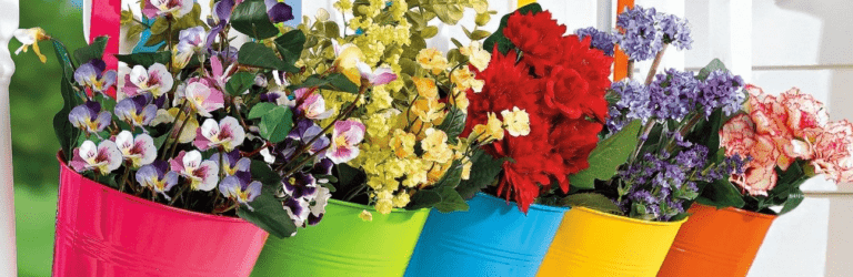 ТОП-3 кімнатні рослини для чистого повітря: прості у догляді, потужні в дії