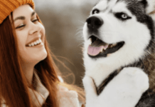 Як правильно вигулювати собаку: 7 простих правил, про які ви могли не знати