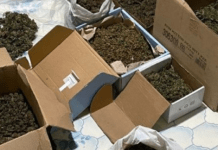 На Дніпропетровщині викрили групу наркоторговців