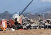 Авіакатастрофа у Південній Кореї: слідство встановило першопричину трагедії