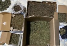 На Дніпропетровщині поліцейські викрили групу наркоторговців та вилучили наркотичні речовини вартістю понад пів мільйона гривень