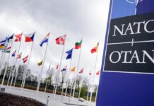 НАТО розпочало обмін засекреченою інформацією з оборонними компаніями та ЄС, – Bloomberg