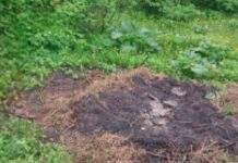 Обухом сокири вбив знайомого: у Верхньодніпровську поліцейські затримали 19-річного юнака