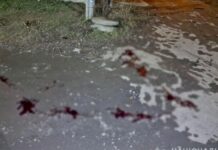 Поліцейські Дніпра затримали 28-річного чоловіка за підозрою у нанесенні тяжких тілесних ушкоджень містянину