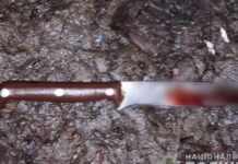 Вдарив сина ножем: у Кам’янському районі поліцейські затримали чоловіка за підозрою у нанесенні тяжких тілесних ушкоджень