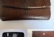 Визвався допомогти та ошукав літню жінку: в Нікопольському районі правоохоронці викрили шахрая