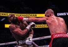 Чи є чемпіонські шанси: українські боксери в оновленому рейтингу IBF