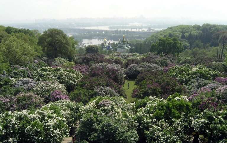 НАН відмовилася передати землі Ботсаду в управління Києву і передала забудовнику, – Кличко