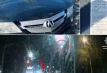 Патрульні Запоріжжя склали адміністративний матеріал на водійку, яка здійснила рух на заборонений червоний сигнал світлофора