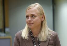 Фінляндія перебрала на себе річне головування в ОБСЄ