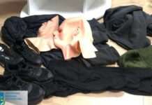 Завдали злочинами шкоду на 4 млн грн: на Запоріжжі завершено досудове розслідування стосовно очільника та учасників злочинної організації