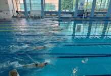 Кам’янські плавці вибороли 31 нагороду зимового чемпіонату Дніпропетровської області