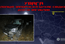Запорізькі поліцейські розшукують свідків смертельної ДТП