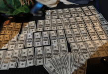 11 тисяч доларів за шанс замерзнути в Тисі: на Закарпатті викрили канал нелегальної переправи