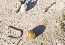 У Новокодацькому районі Дніпра виявили гранату: подробиці