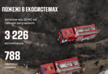 З початку 2025 року в природних екосистемах України зафіксовано 714 пожеж