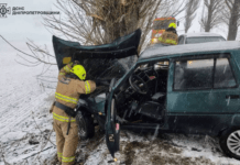У Дніпровському районі водій ЗАЗ влетів у дерево: рятувальники деблокували людей з понівеченого авто