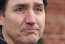 США відкладають запровадження мит проти Канади на місяць – Трюдо після розмови з Трампом