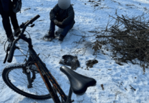 Патрульні Дніпра виявили ймовірного крадія велосипеду у Новокодацькому районі міста