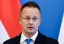 Сійярто: Угорщина передасть гроші з фонду миру армії Лівану, але не постачатиме зброю Україні