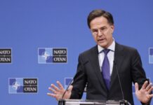 Генсек НАТО оптимістично налаштований щодо мирної ініціативи Трампа