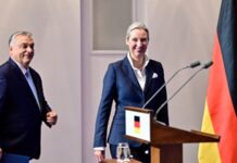 Орбан назвав ультраправу партію «майбутнім» Німеччини