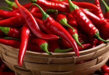 Гострі спеції проти хвороб: користь, про яку ви не знали