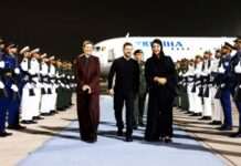 Зеленський прилетів до ОАЕ з візитом