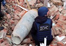 ДСНС: на Київщині знешкодили новітню російську крилату ракету Х-69