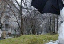 Земля нагрівається швидше, ніж усі думали: вчені ошелешили новими результатми досліджень