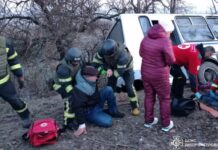 У Нікопольському районі автобус врізався у дерево: постраждало 14 людей