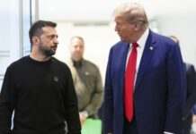 Зеленський анонсував «дуже насичені в дипломатії» тижні – після заяви Трампа про переговори