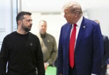 Трамп заявив про можливу зустріч із Зеленським наступного тижня