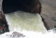 Допустив неконтрольований скид забруднених вод у річку Саксагань: посадовця з Кривого Рогу підозрюють у злочині проти довкілля