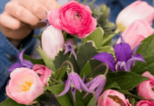 Які квіти дарувати дівчині за знаком Зодіаку: букет, що точно запам’ятається