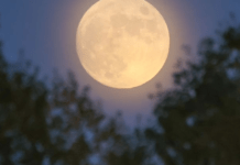 Повня у Леві 12 лютого: на кого чекають доленосні рішення