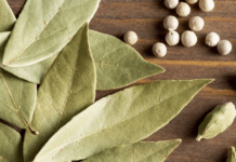 Чому варто носити лавровий лист у кишені: лайфхак, про який мало хто знає