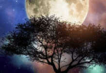 Тіні минулого й нові старти: що чекає на нас під час березневого коридору затемнень