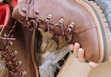 Як зберігати зимове взуття, щоб воно не втратило вигляд і форму: корисні поради