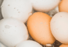 Чому досвідчені господині кидають сірники у воду перед варінням яєць: незвичайний лайфхак