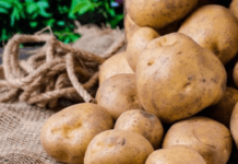 Як виростити рекордний урожай картоплі без хімії: проста хитрість, про яку мало хто знає