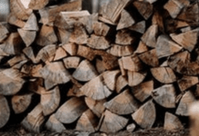 Продавав неіснуючі дрова: на Дніпропетровщині викрили шахрая