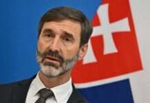 У Чехії та Словаччині висловилися щодо відправки військ в Україну